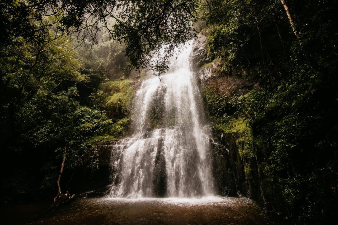 Mount Sheba Rainforest Hotel & Resort Pilgrimʼs Rest Exteriör bild