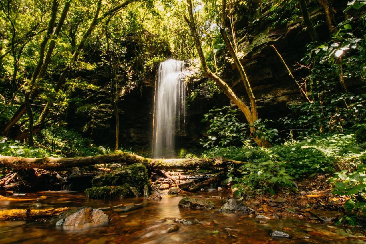Mount Sheba Rainforest Hotel & Resort Pilgrimʼs Rest Exteriör bild